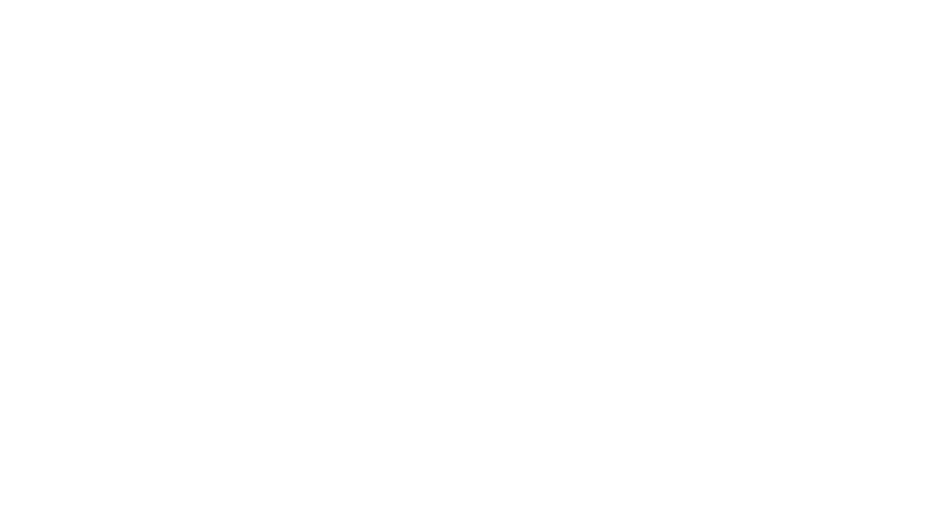 Zenith Group
